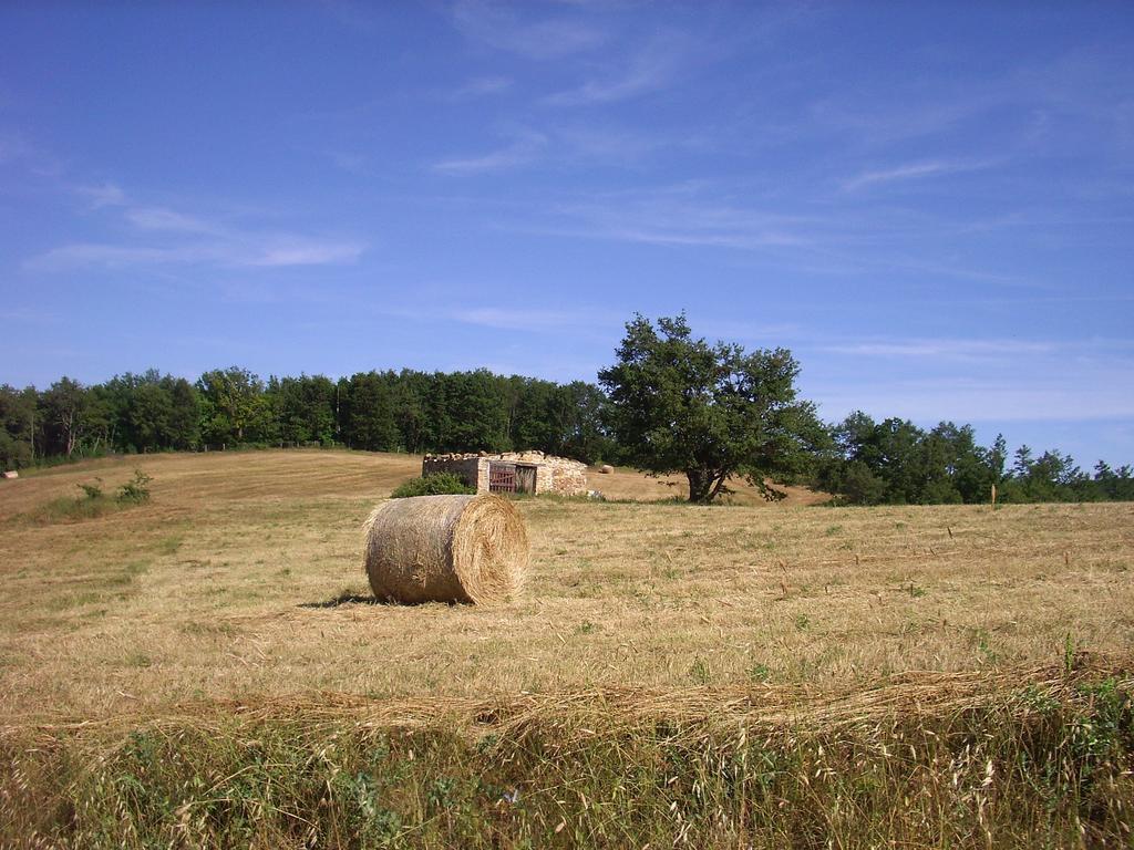 Agriturismo Bio Le Macchie Alte 만시아노 외부 사진