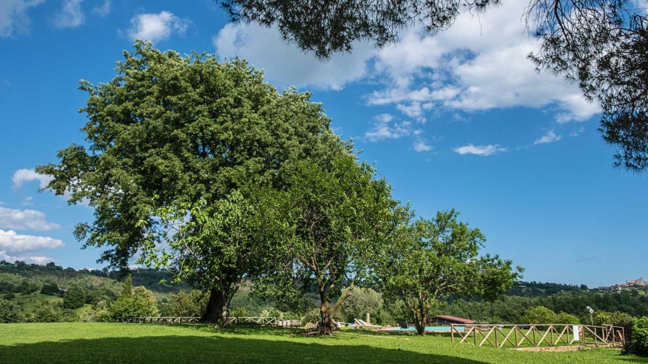 Agriturismo Bio Le Macchie Alte 만시아노 외부 사진
